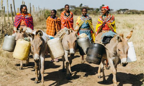 Women with their donkeys going to collect water
