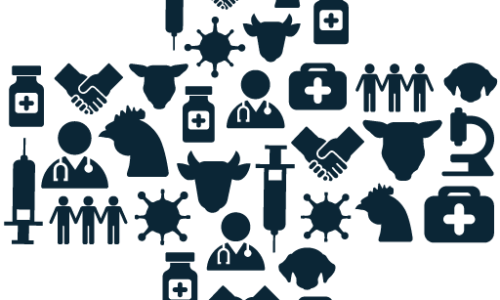 Logo of Action for Animal Health